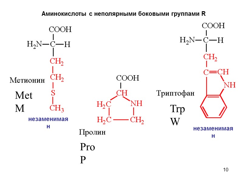 10 Аминокислоты с неполярными боковыми группами R Met M Pro P Trp W незаменимая